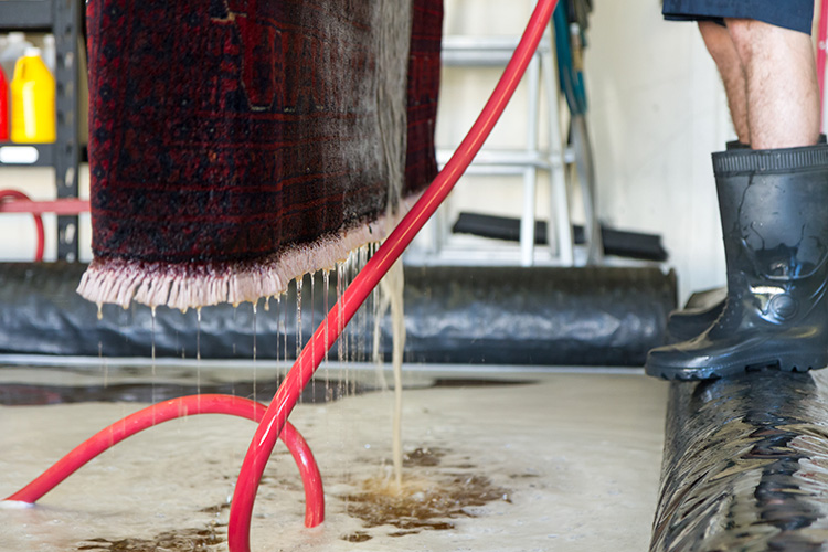 Decontamination Rug Wash