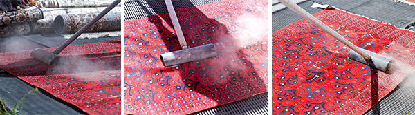 Air Dust  Removal From Rug