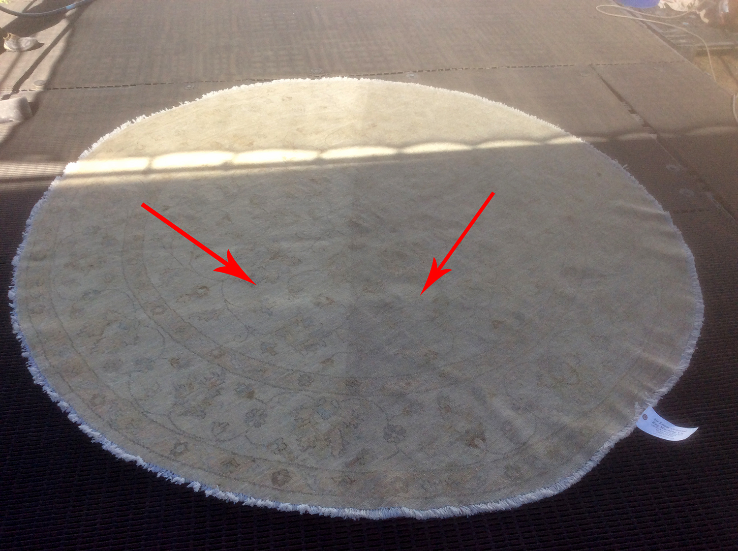 Air Dust  Removal From Rug - Pakistan Hand Tied Wool Rug